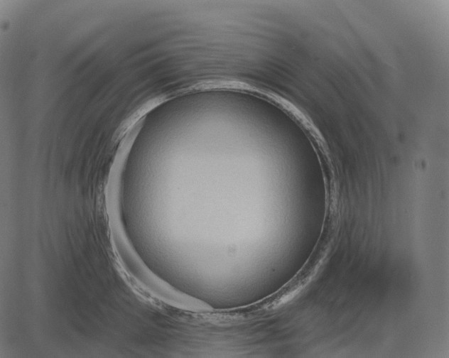 X0000082680905200702091629