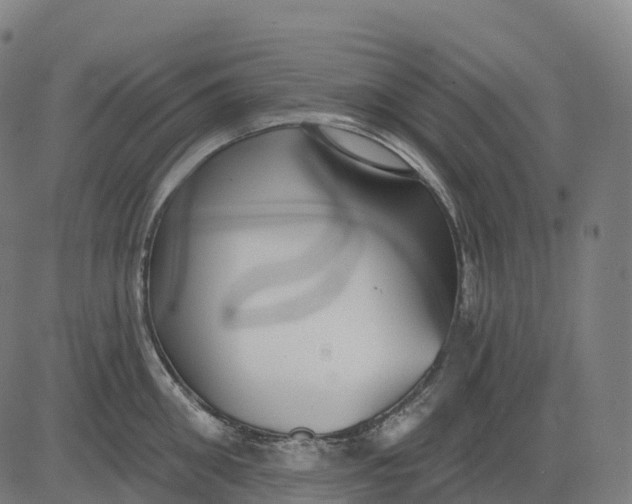 X0000082680906200702091629