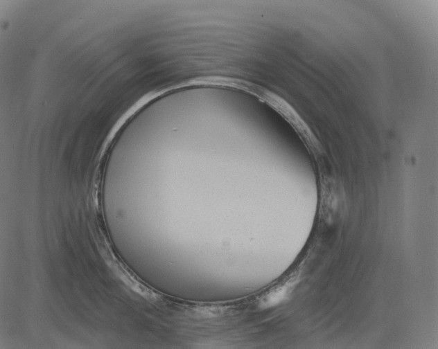 X0000082680908200702091629