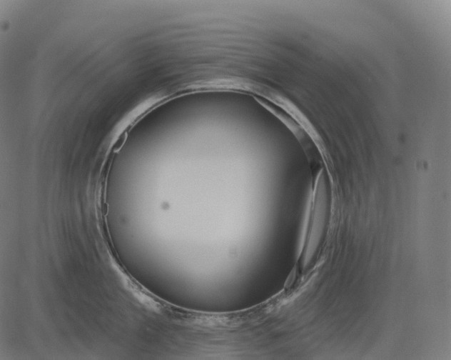 X0000082680909200702091629