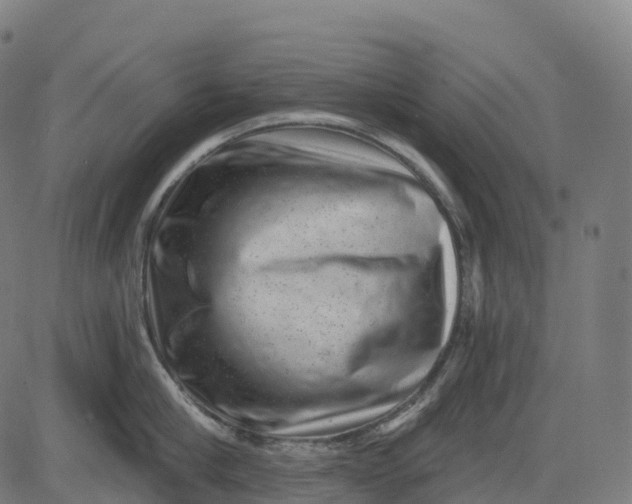 X0000082680910200702091629