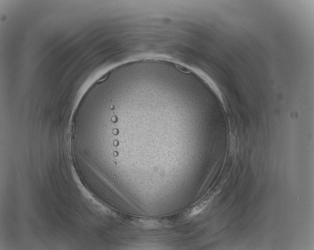 X0000082680911200702091629