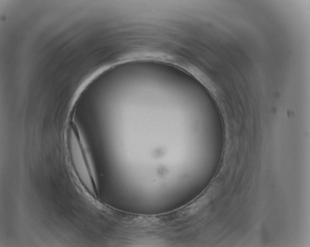 X0000082680912200702091629