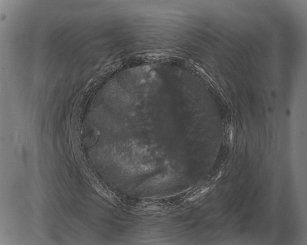 X0000082680913200702091628