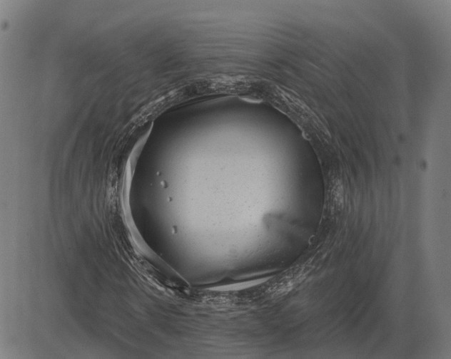 X0000082680914200702091628