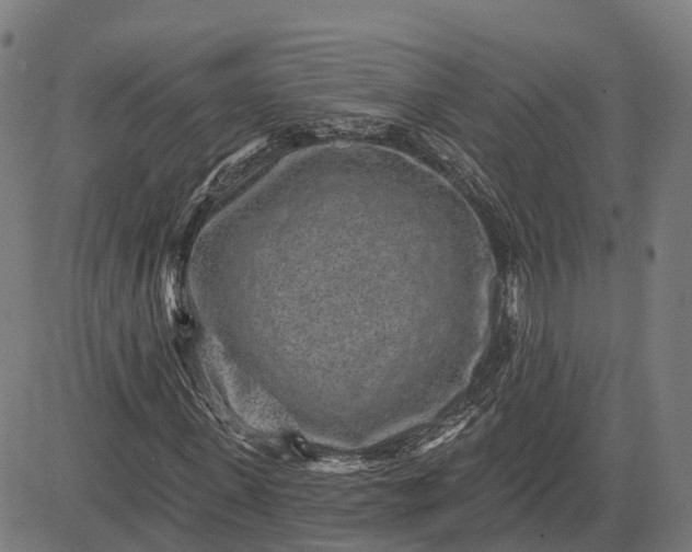 X0000082680915200702091628