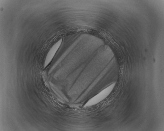 X0000082680916200702091628