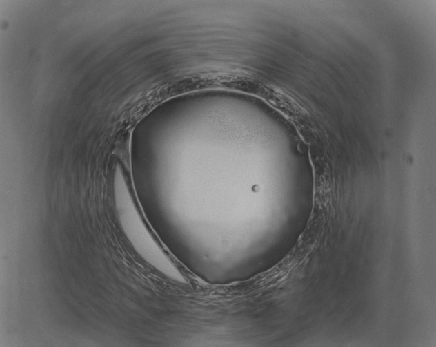 X0000082680917200702091628