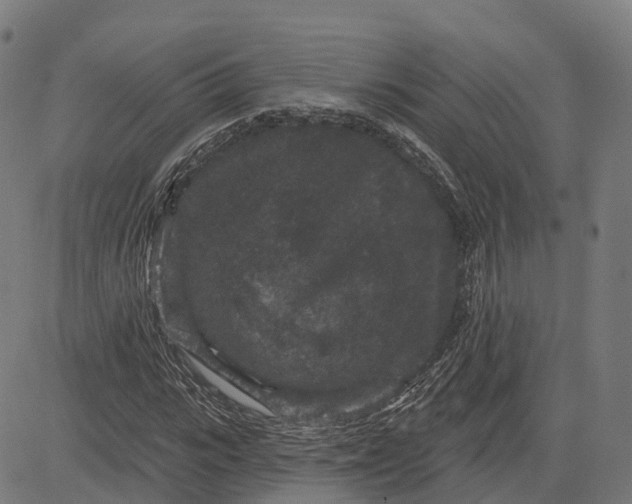 X0000082680919200702091628