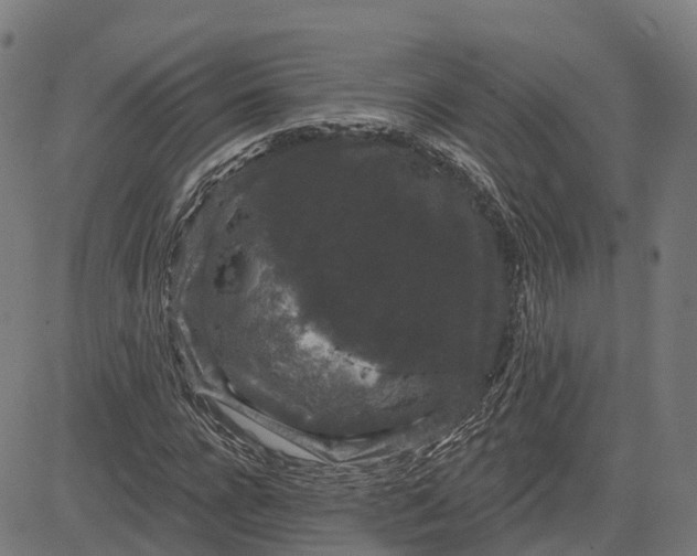 X0000082680920200702091628