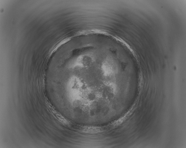 X0000082680921200702091628