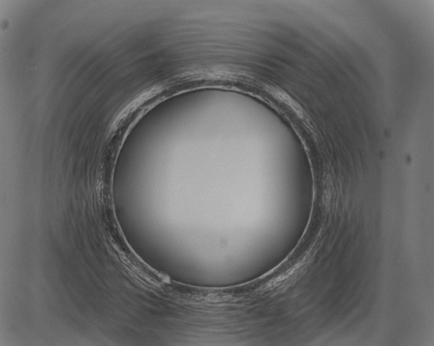 X0000082680922200702091628