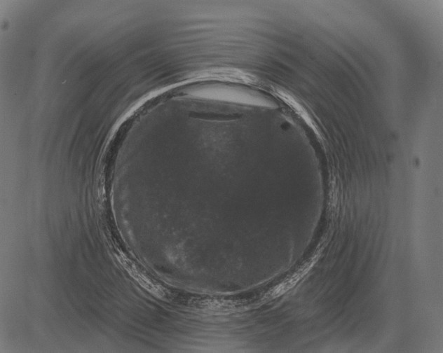 X0000082680923200702091628