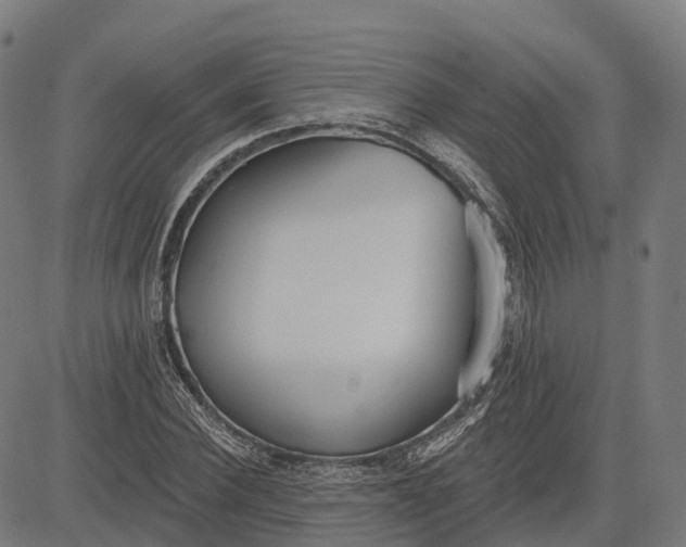 X0000082680924200702091628