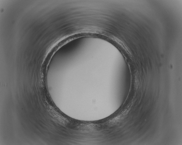 X0000082680926200702091628