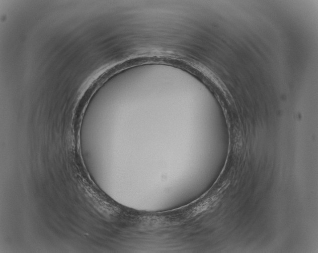 X0000082680927200702091628