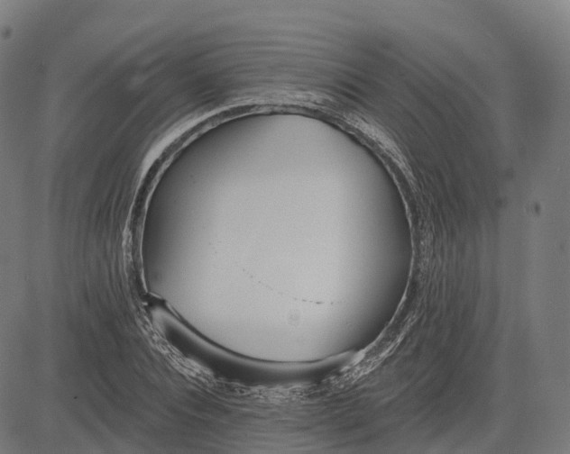 X0000082680928200702091628