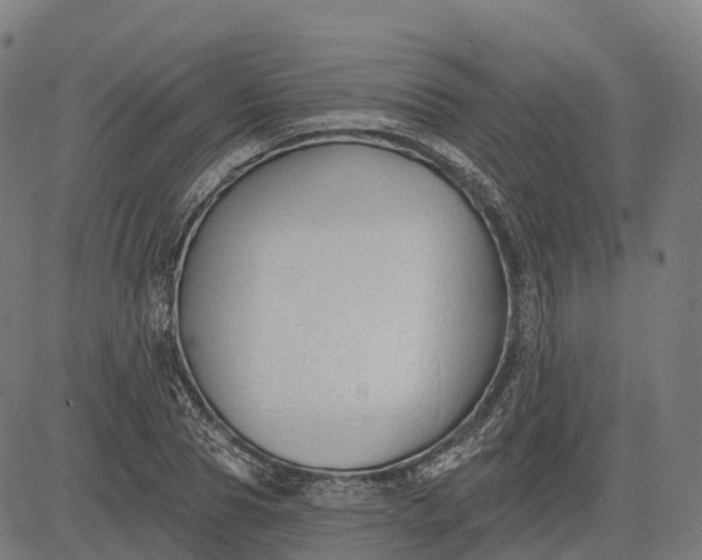 X0000082680929200702091628