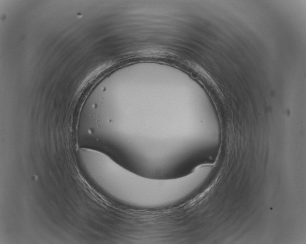 X0000082680930200702091628