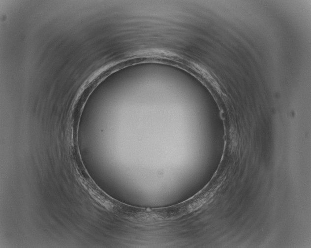 X0000082680931200702091628