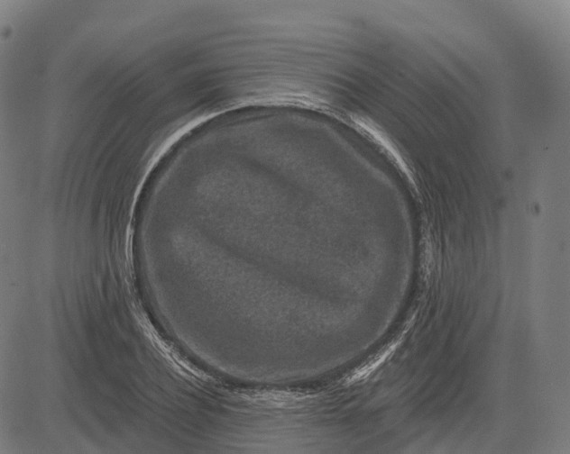 X0000082680932200702091628