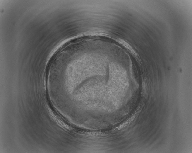 X0000082680934200702091629