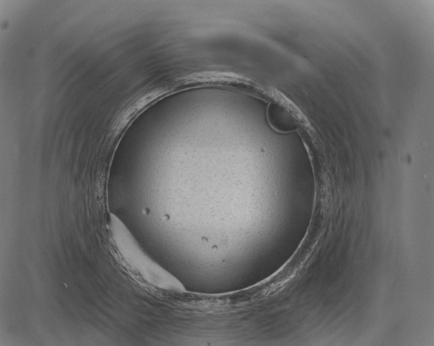 X0000082680937200702091629