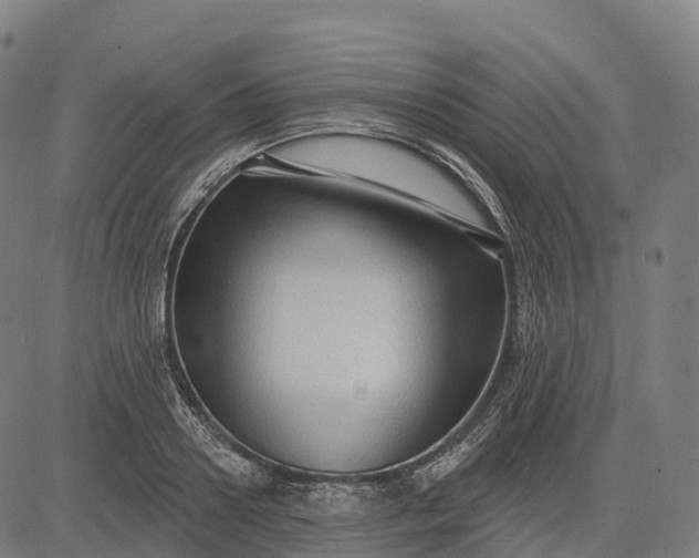 X0000082680938200702091629