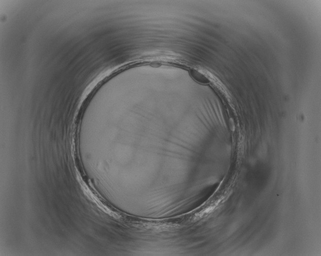 X0000082680941200702091629