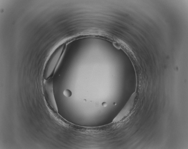 X0000082680942200702091629