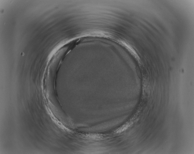 X0000082680944200702091629