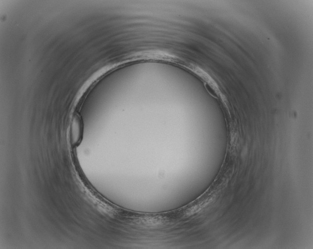 X0000082680947200702091629