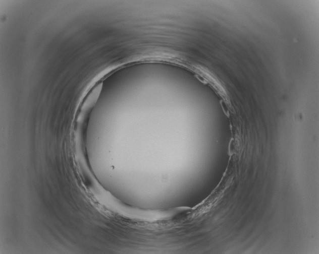 X0000082680948200702091629