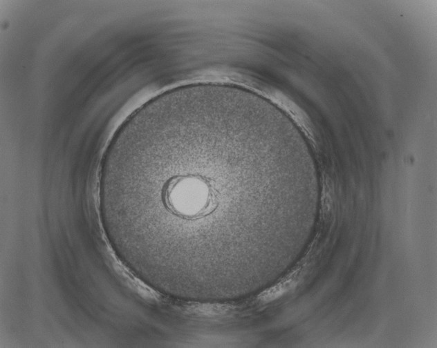 X0000082680950200702091629