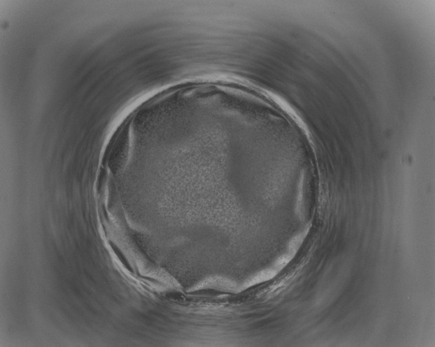 X0000082680951200702091629