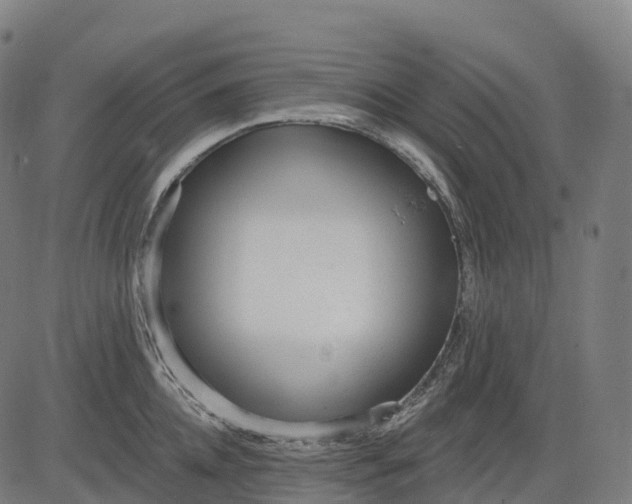 X0000082680952200702091629