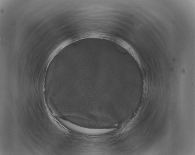 X0000082680954200702091629