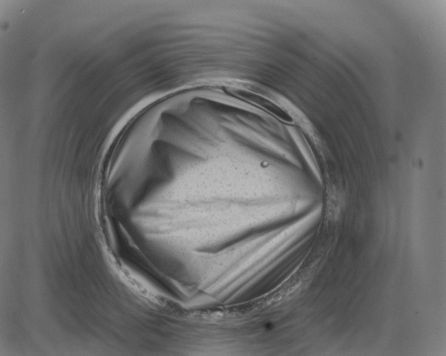 X0000082680955200702091629