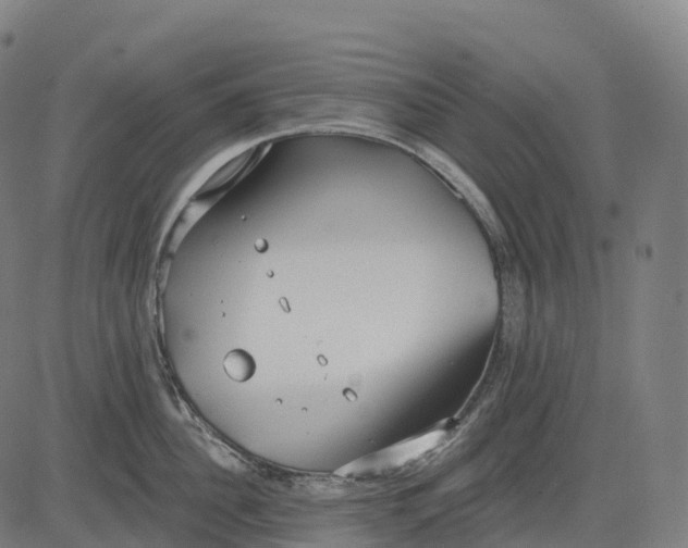 X0000082680956200702091629