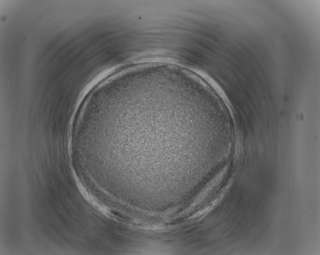 X0000082680957200702091629