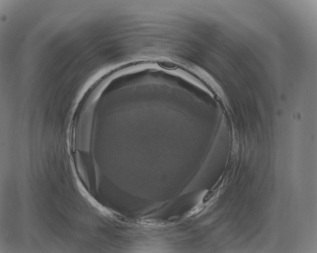 X0000082680958200702091629