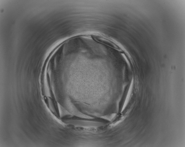 X0000082680959200702091629