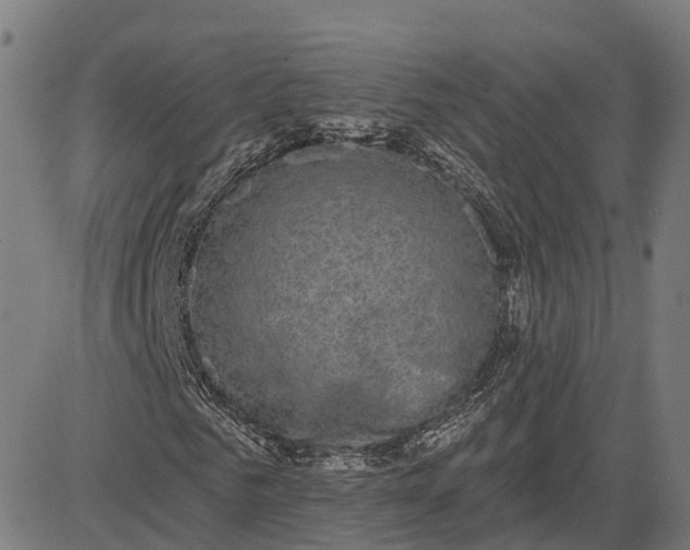 X0000082680961200702091628