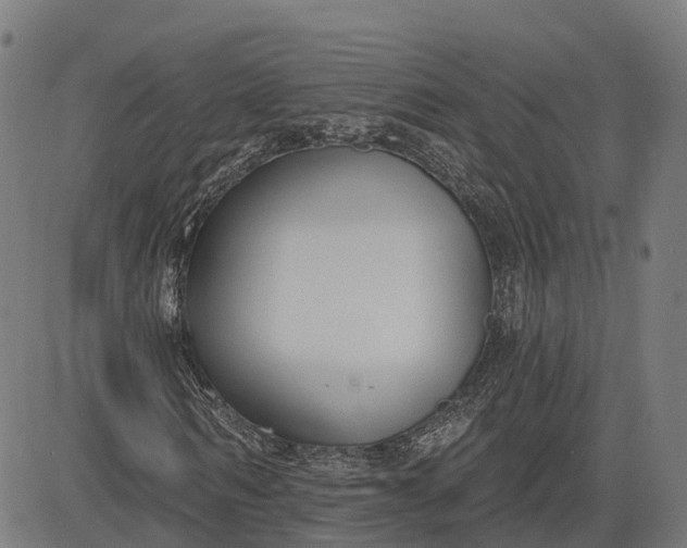 X0000082680962200702091628