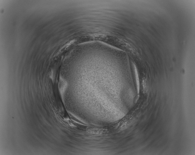 X0000082680963200702091628