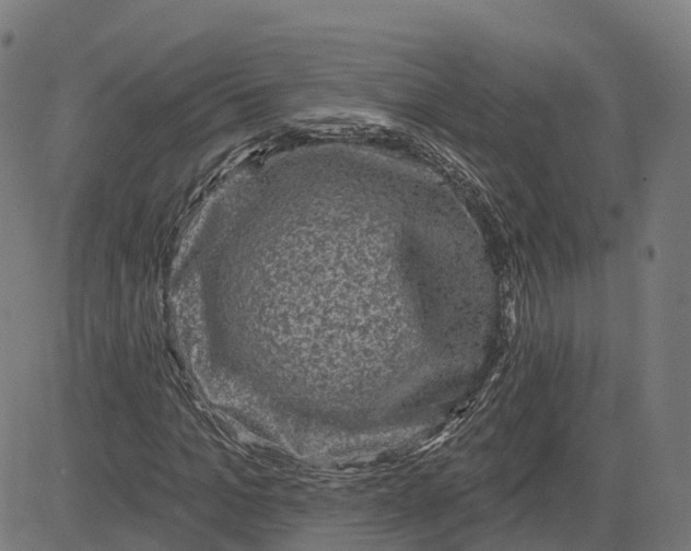 X0000082680965200702091628