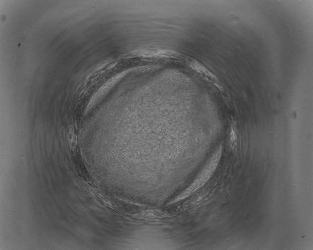 X0000082680966200702091628