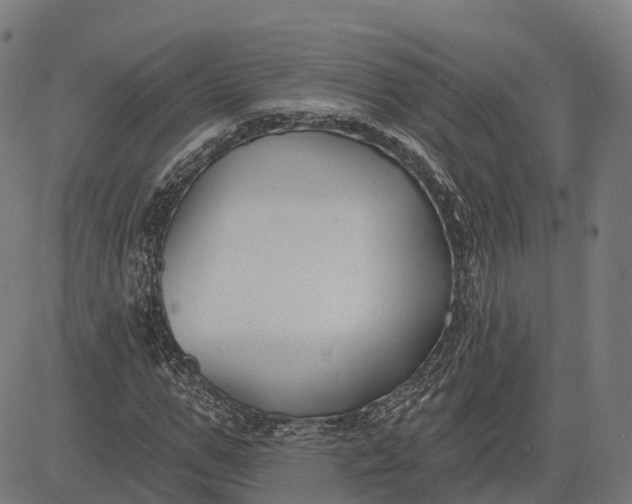 X0000082680967200702091628