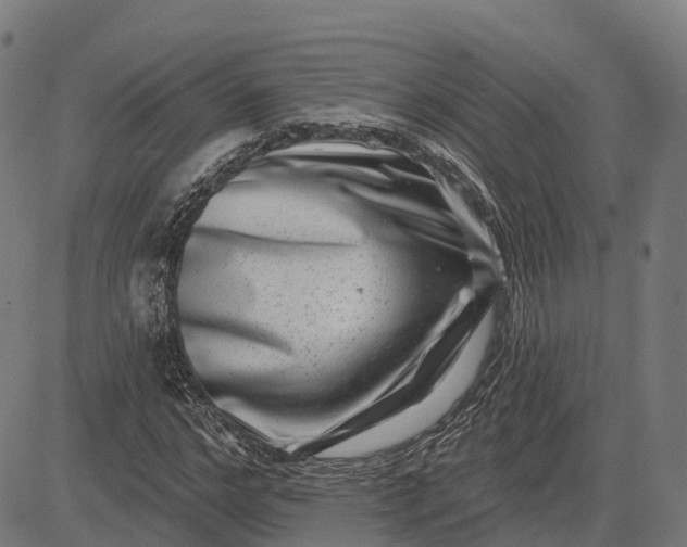 X0000082680968200702091628