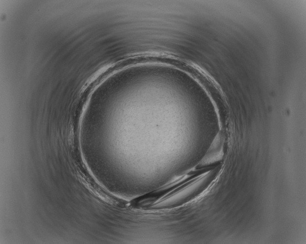 X0000082680969200702091628